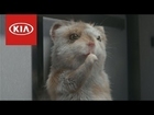Kia promoveaza noul Soul Turbo cu ajutorul hamsterilor